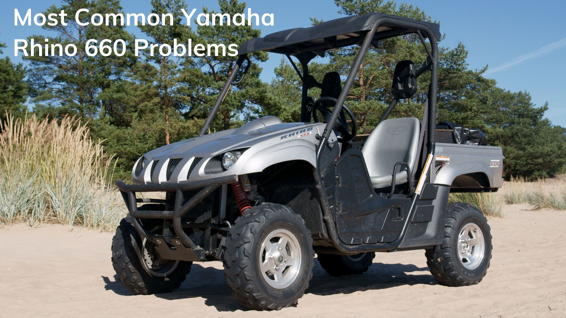 Yamaha Rhino 660 Problems